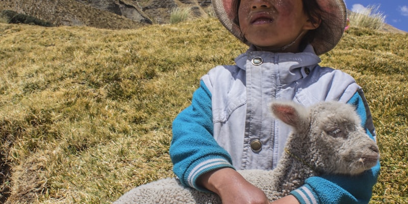 篮球比赛数据统计图表，展示投篮命中率分布